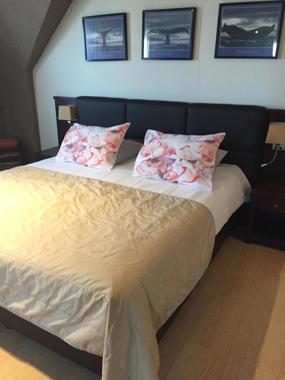 Hotel Prelude 크네세라레 외부 사진